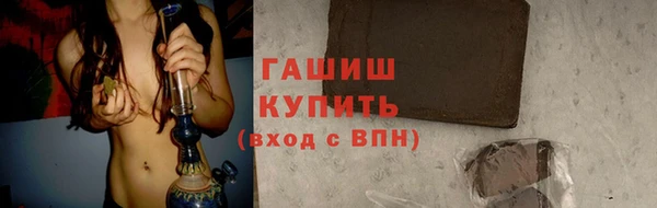 сатива Беломорск