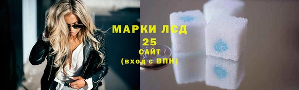 сатива Беломорск
