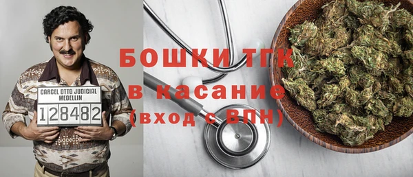 сатива Беломорск