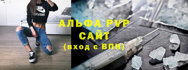 сатива Беломорск