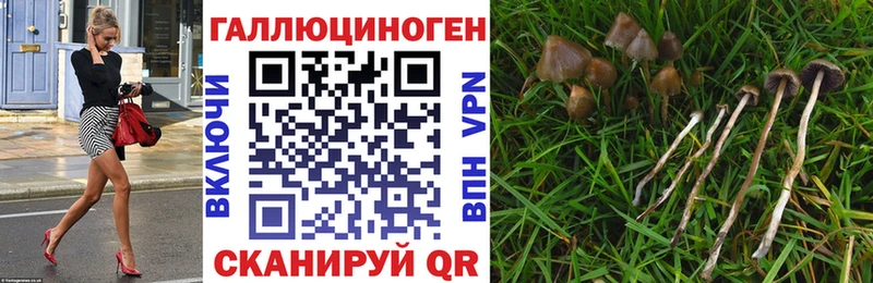 mega ссылки  Симферополь  Галлюциногенные грибы Psilocybine cubensis 
